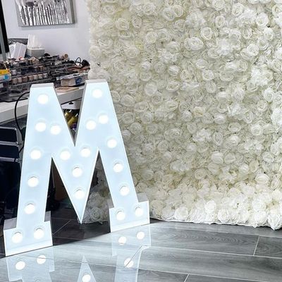 12V Voltagem de entrada Grandes letras 3D iluminadas Marry Me LED Marquee sinal para casamento
