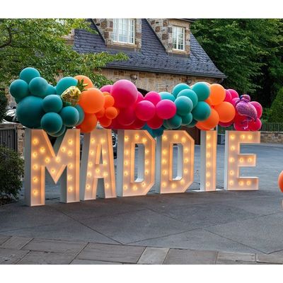12V Voltagem de entrada Grandes letras 3D iluminadas Marry Me LED Marquee sinal para casamento