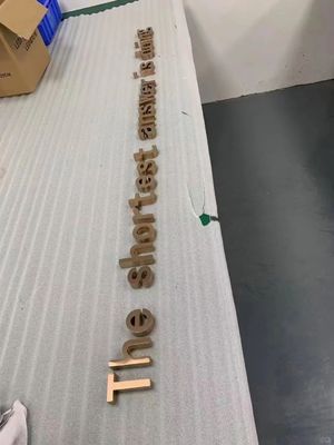 Publicidade em ouro 3D LED sinais eletrônicos para logotipo da loja Light Board Display Promoção