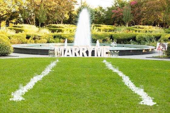 Proposta de casamento Sinais de néon Marquise Iluminação Letras Decoração